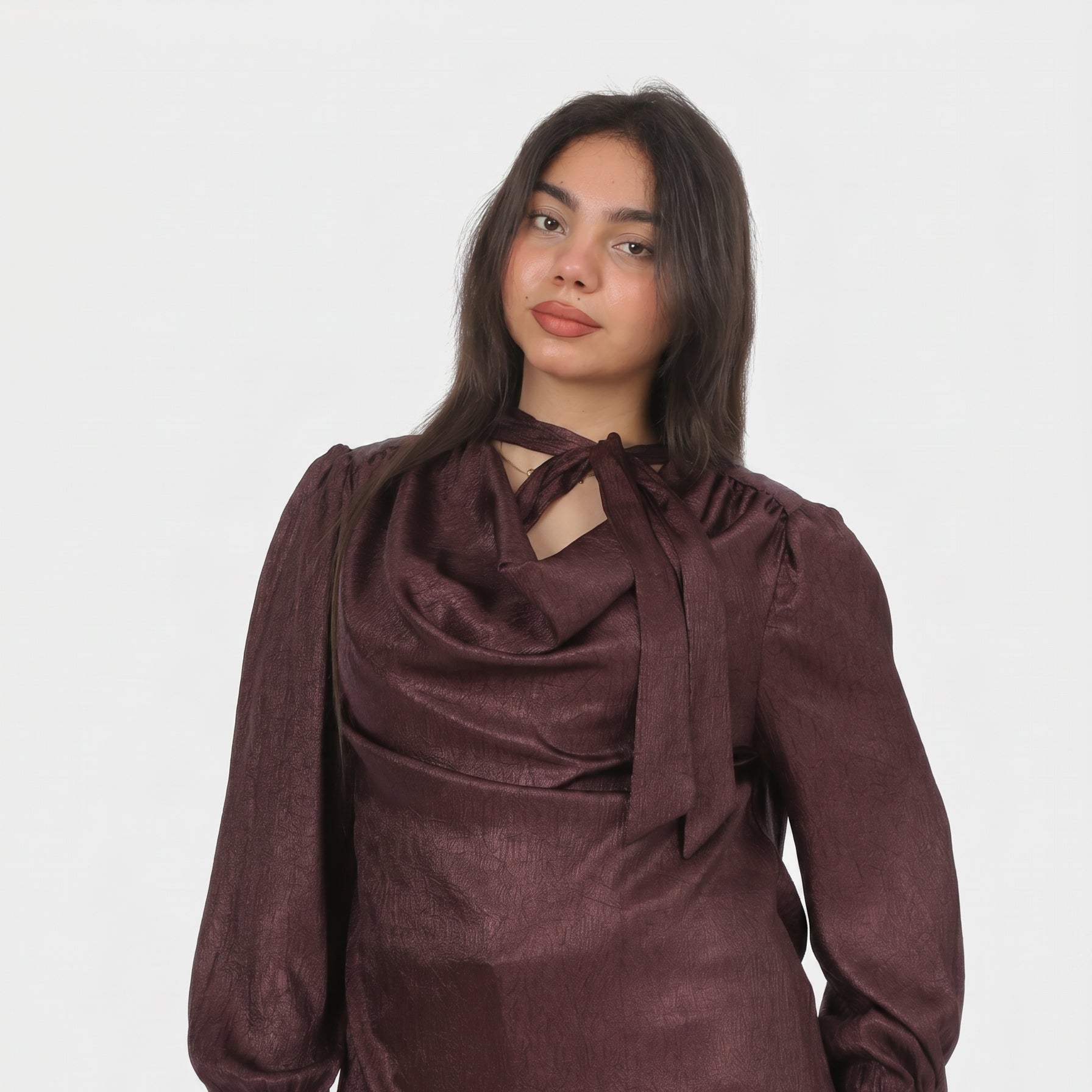 Elegant Tie-Neck Blouse 20721078