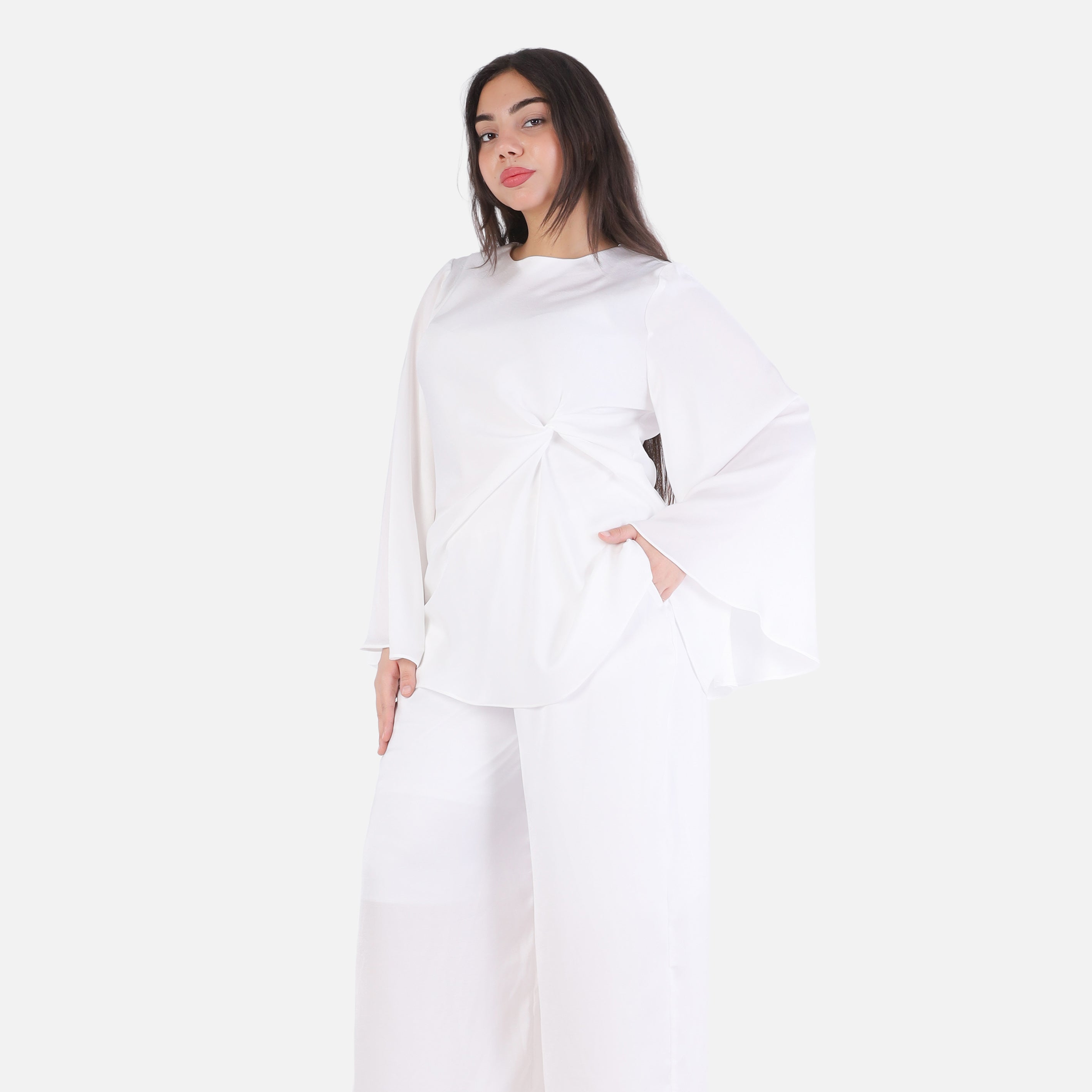 Elegant Flowing Blouse & Wide-Leg Pants Set 2003/235