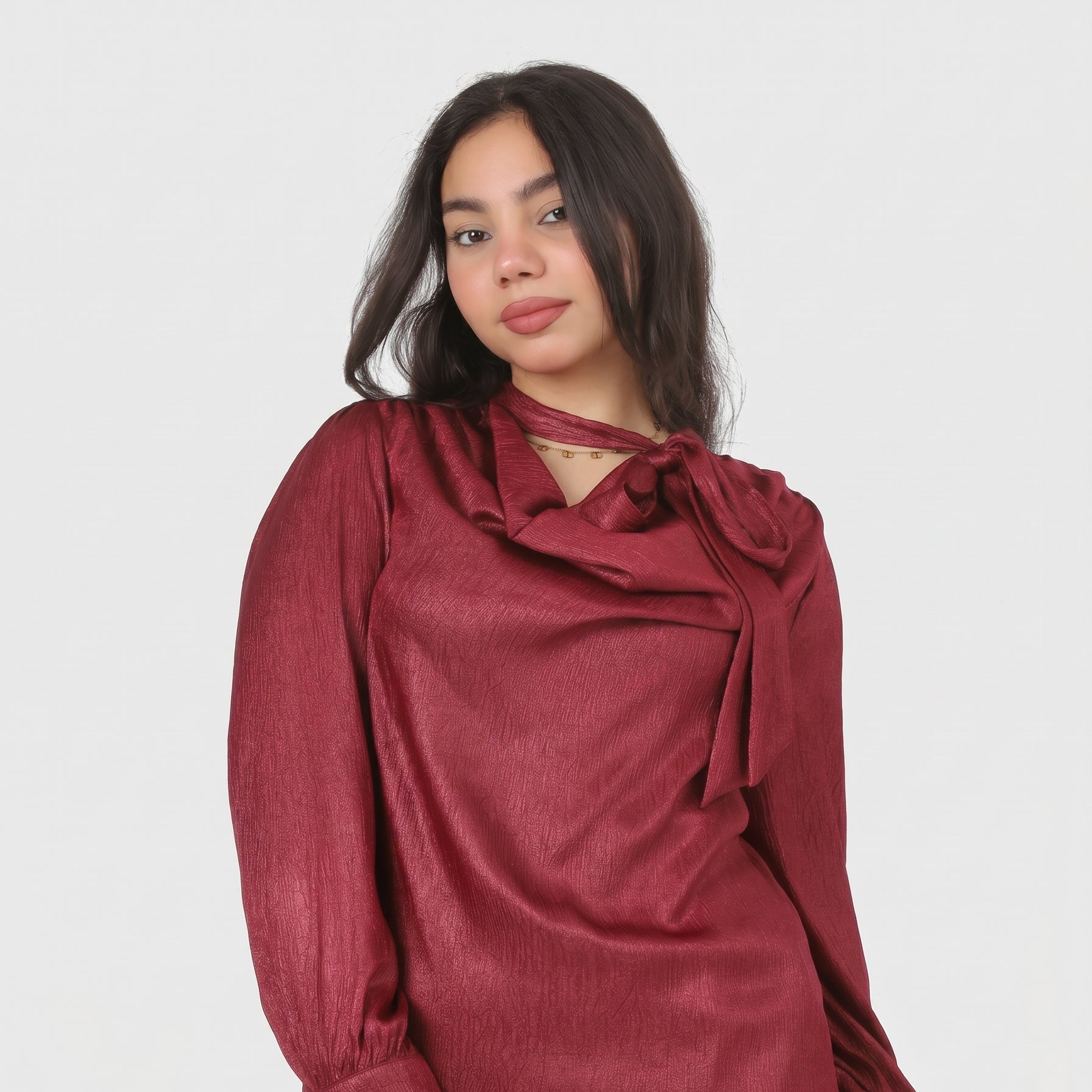 Elegant Tie-Neck Blouse 20721078