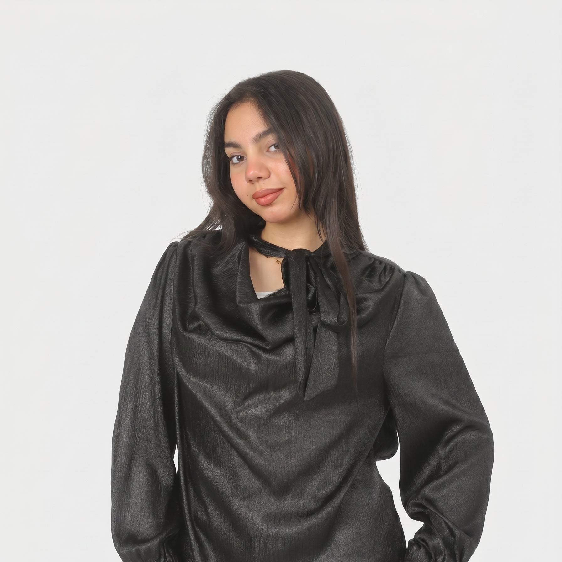 Elegant Tie-Neck Blouse 20721078