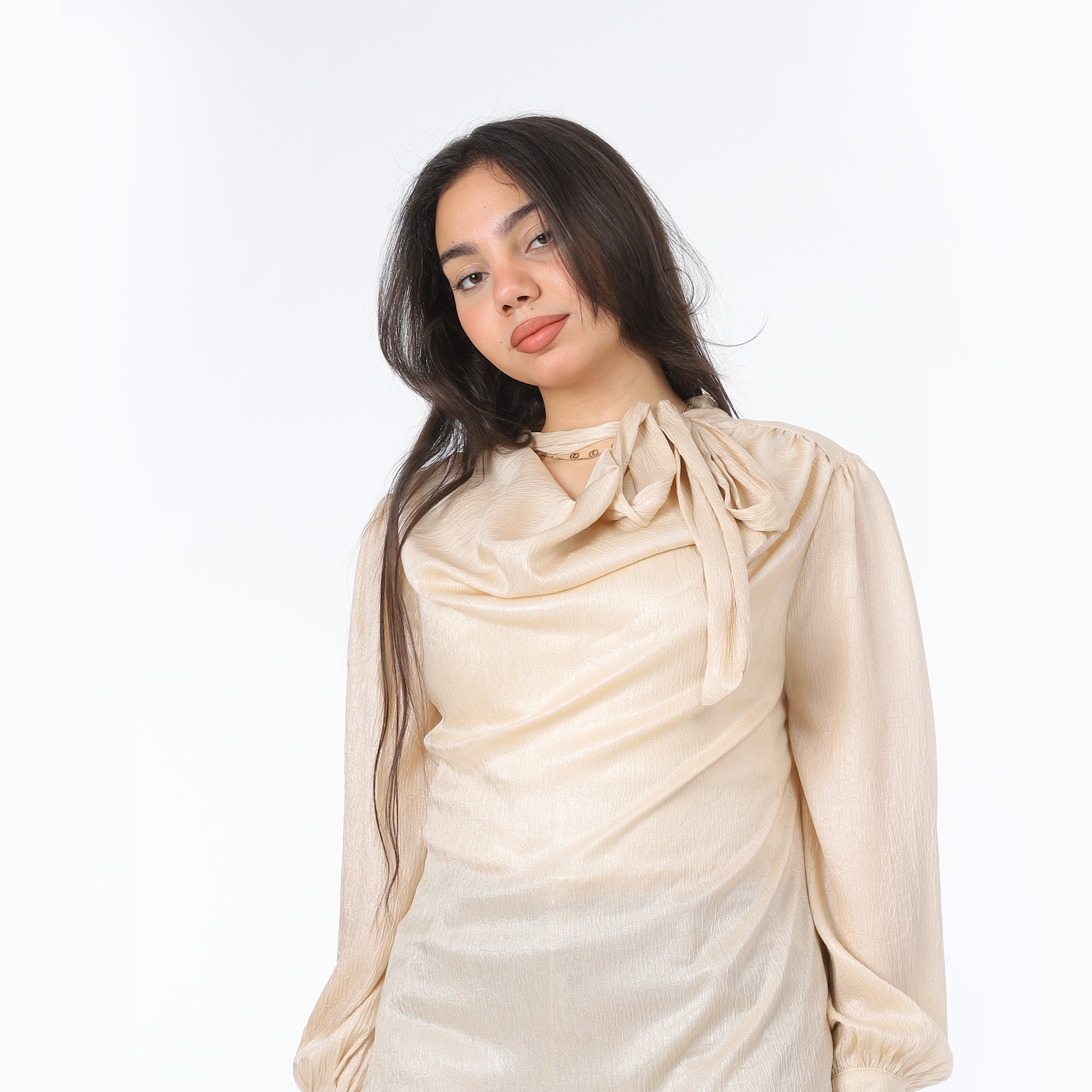 Elegant Tie-Neck Blouse 20721078
