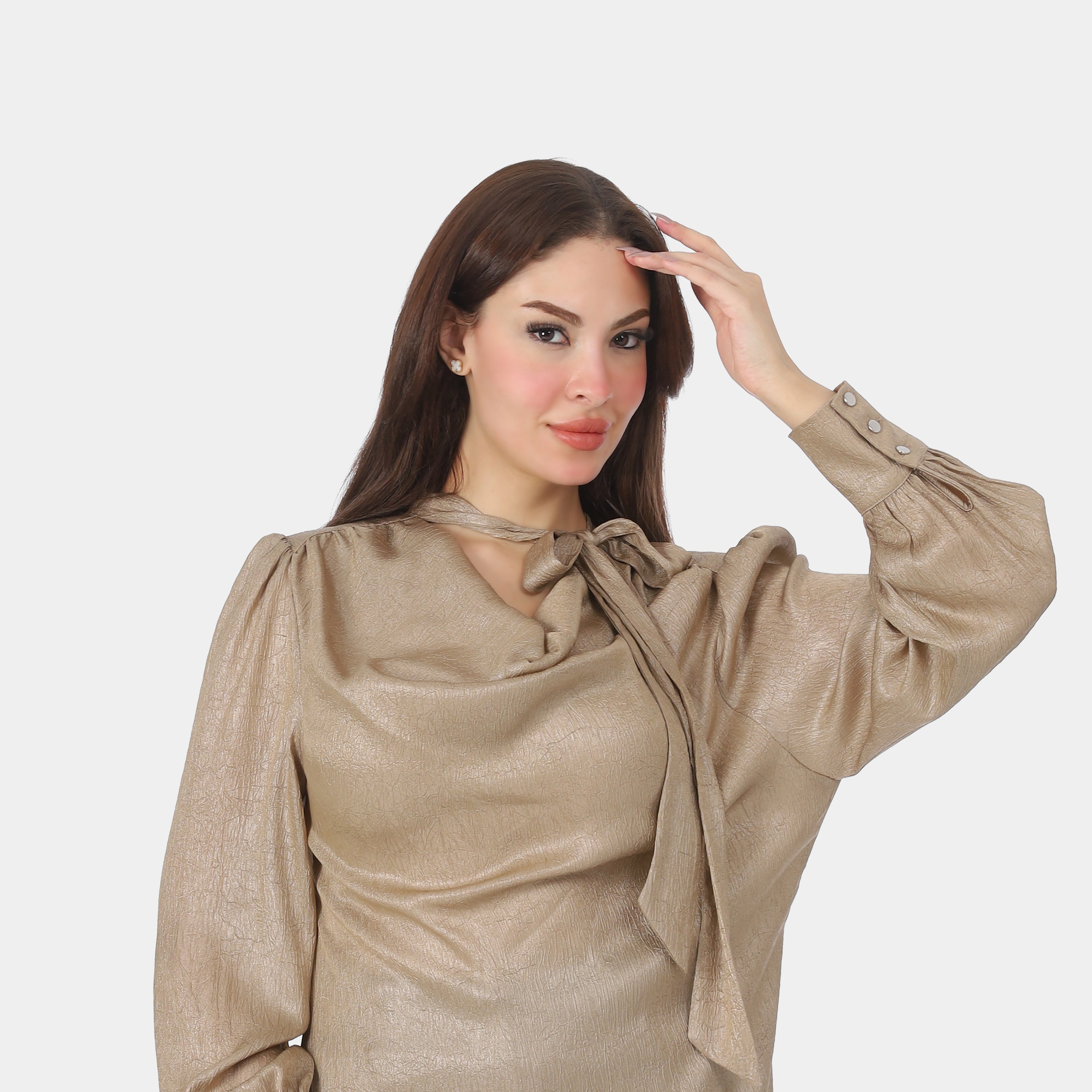 Elegant Tie-Neck Blouse 20721078