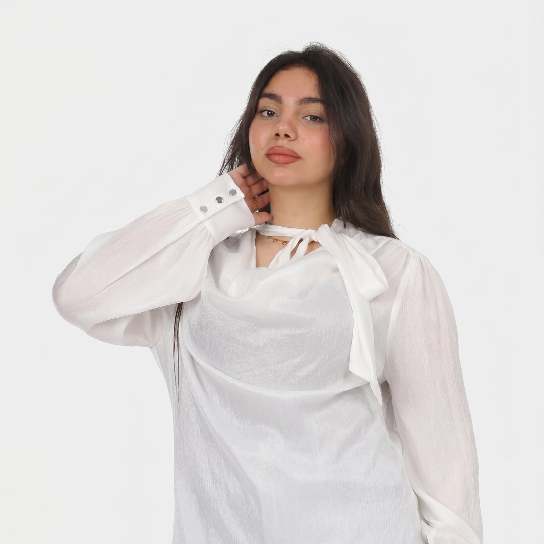 Elegant Tie-Neck Blouse 20721078