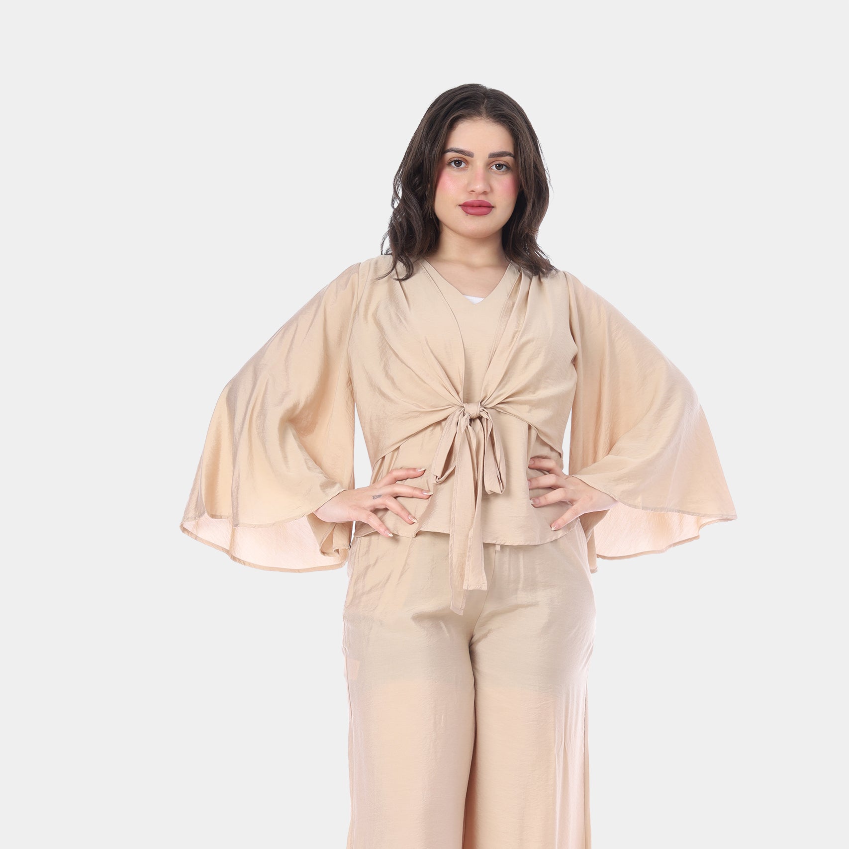 Elegant Wrap Blouse & Wide-Leg Pants Set s1502217/3