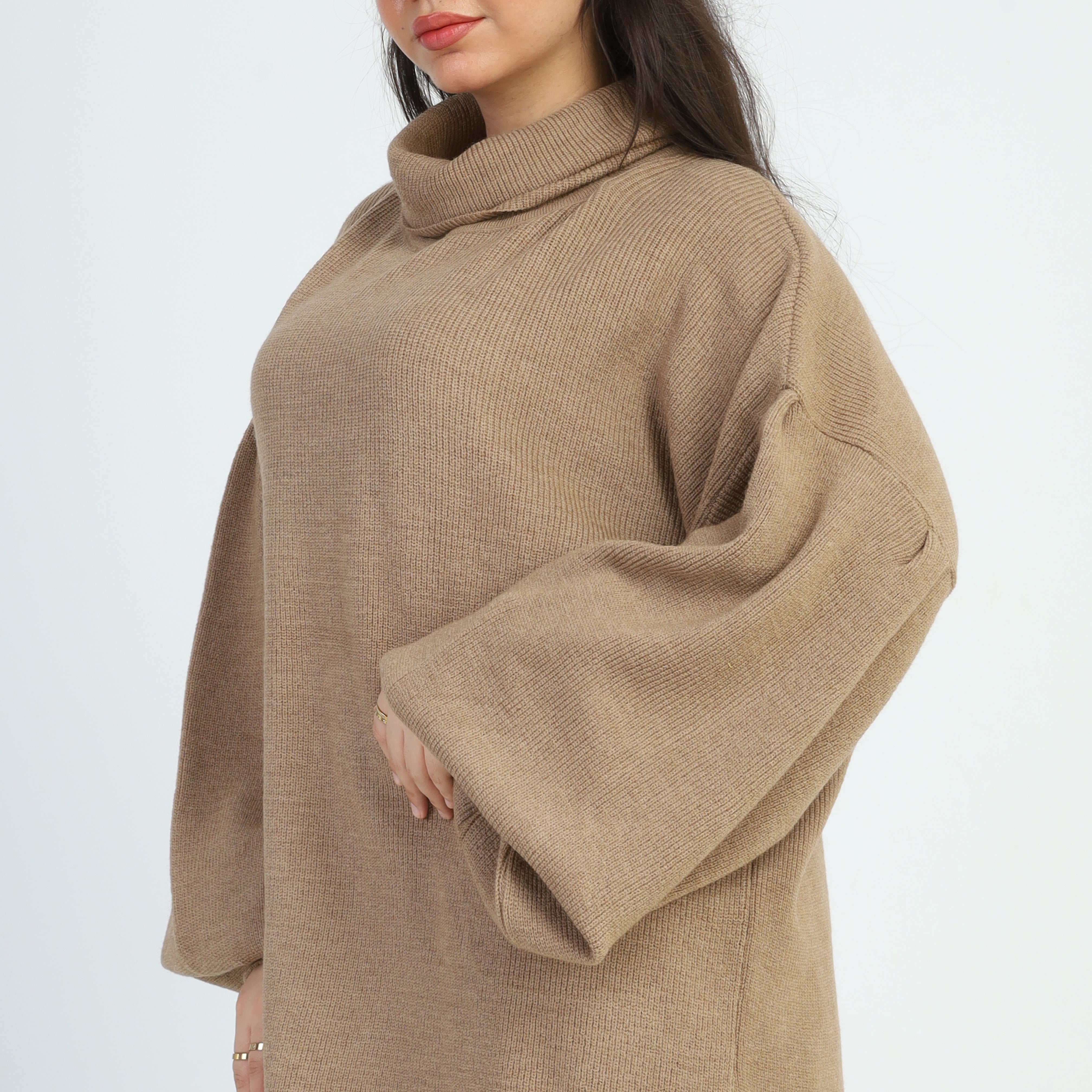 Turtle Neck Oversized Pullover w16252674