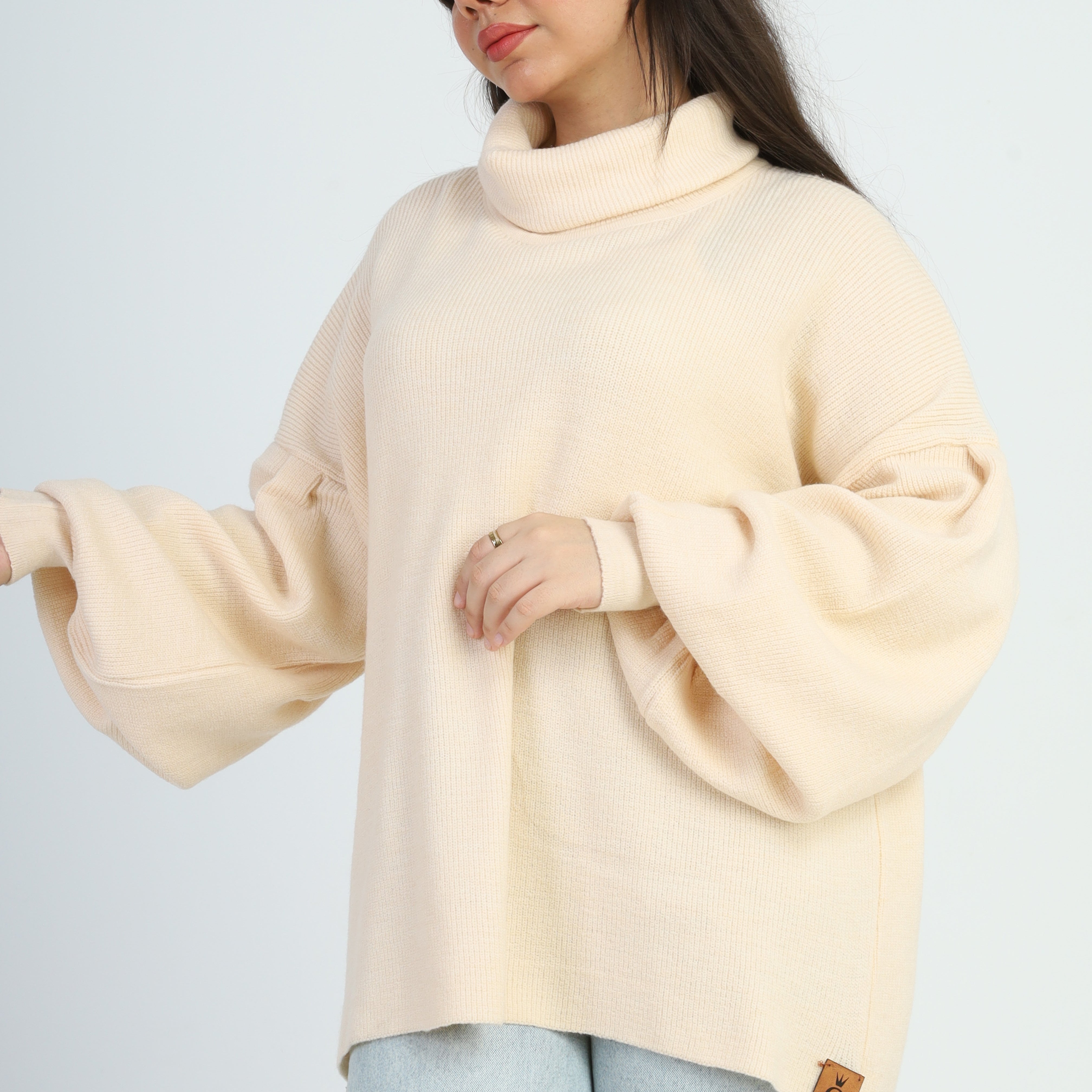Turtle Neck Oversized Pullover w16252674