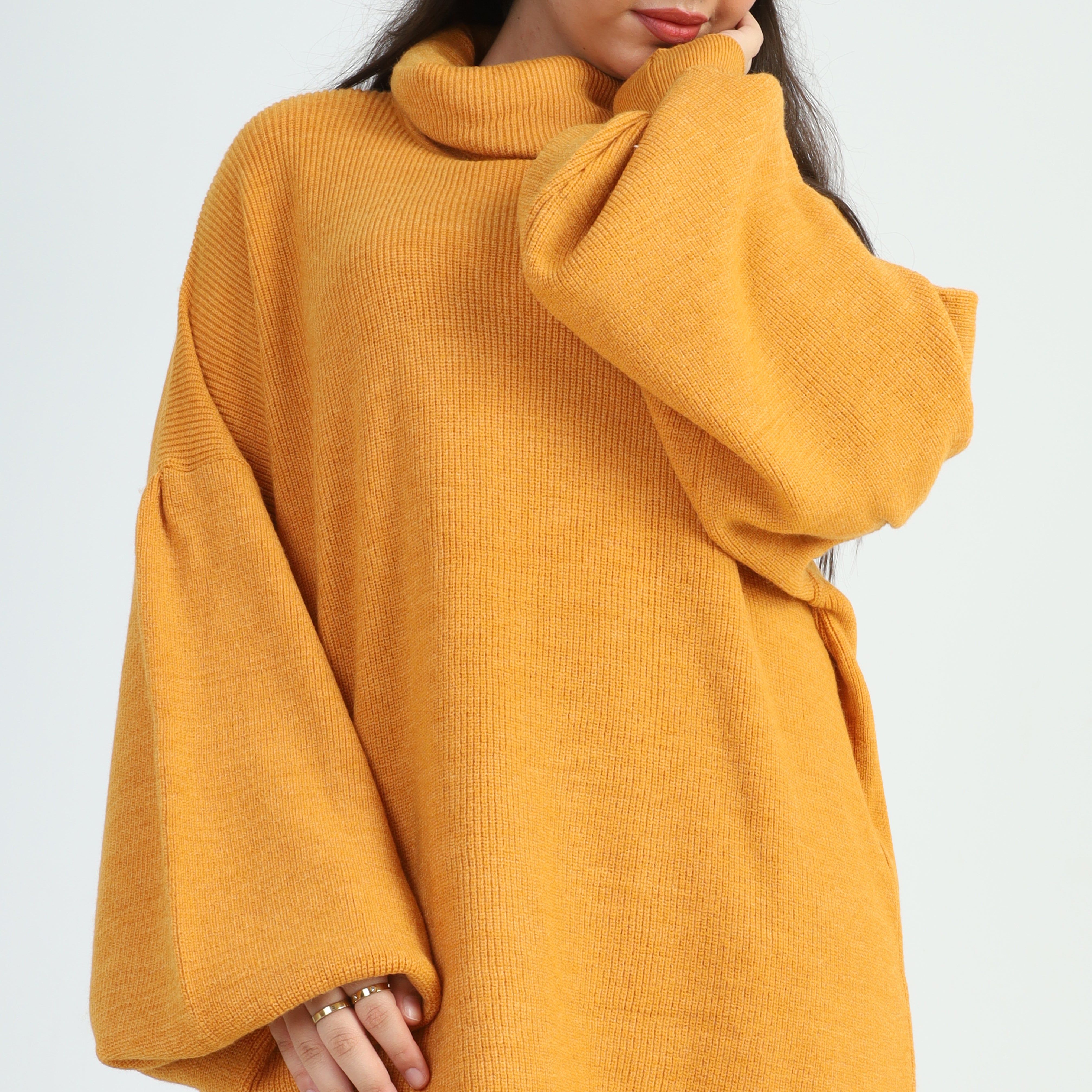 Turtle Neck Oversized Pullover w16252674