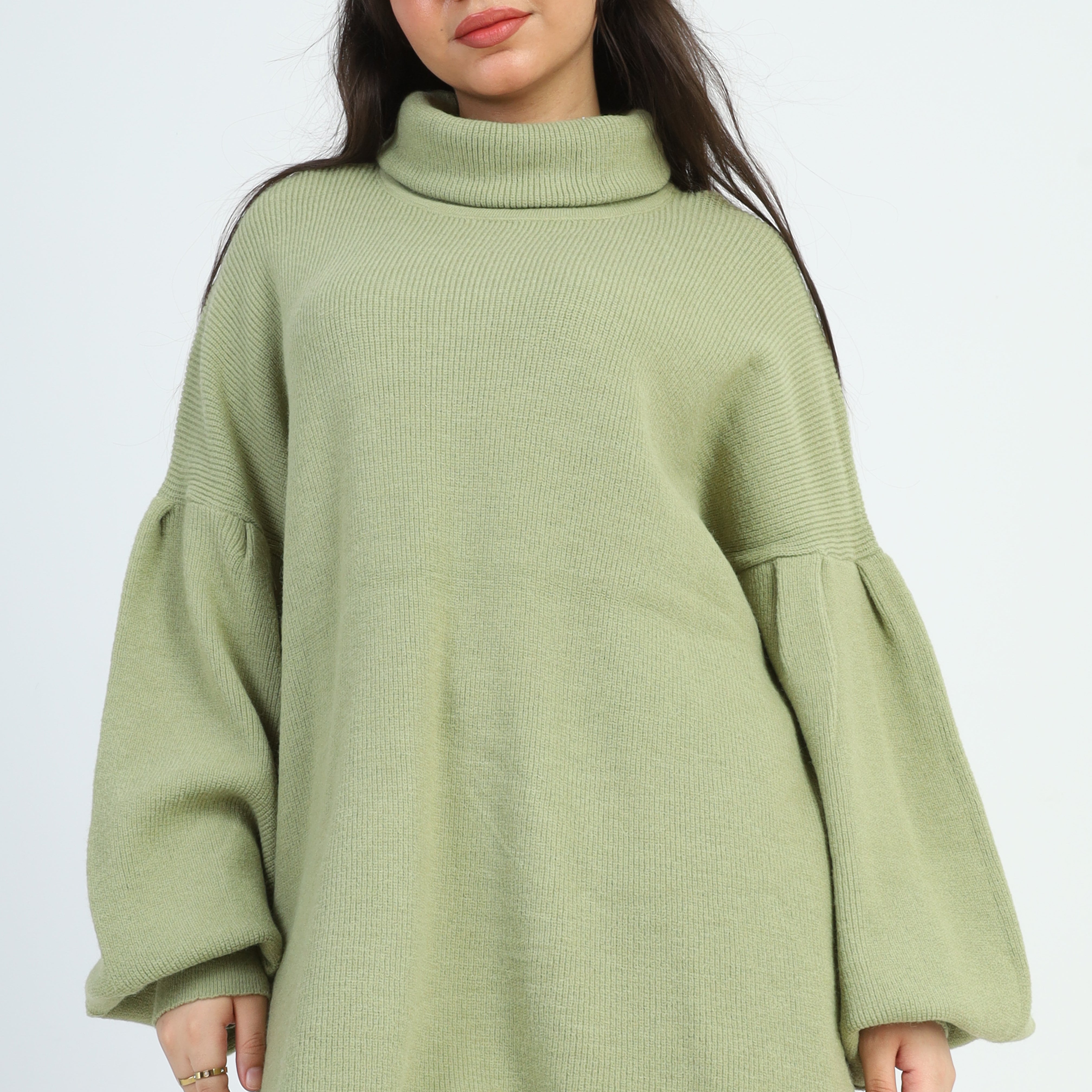 Turtle Neck Oversized Pullover w16252674