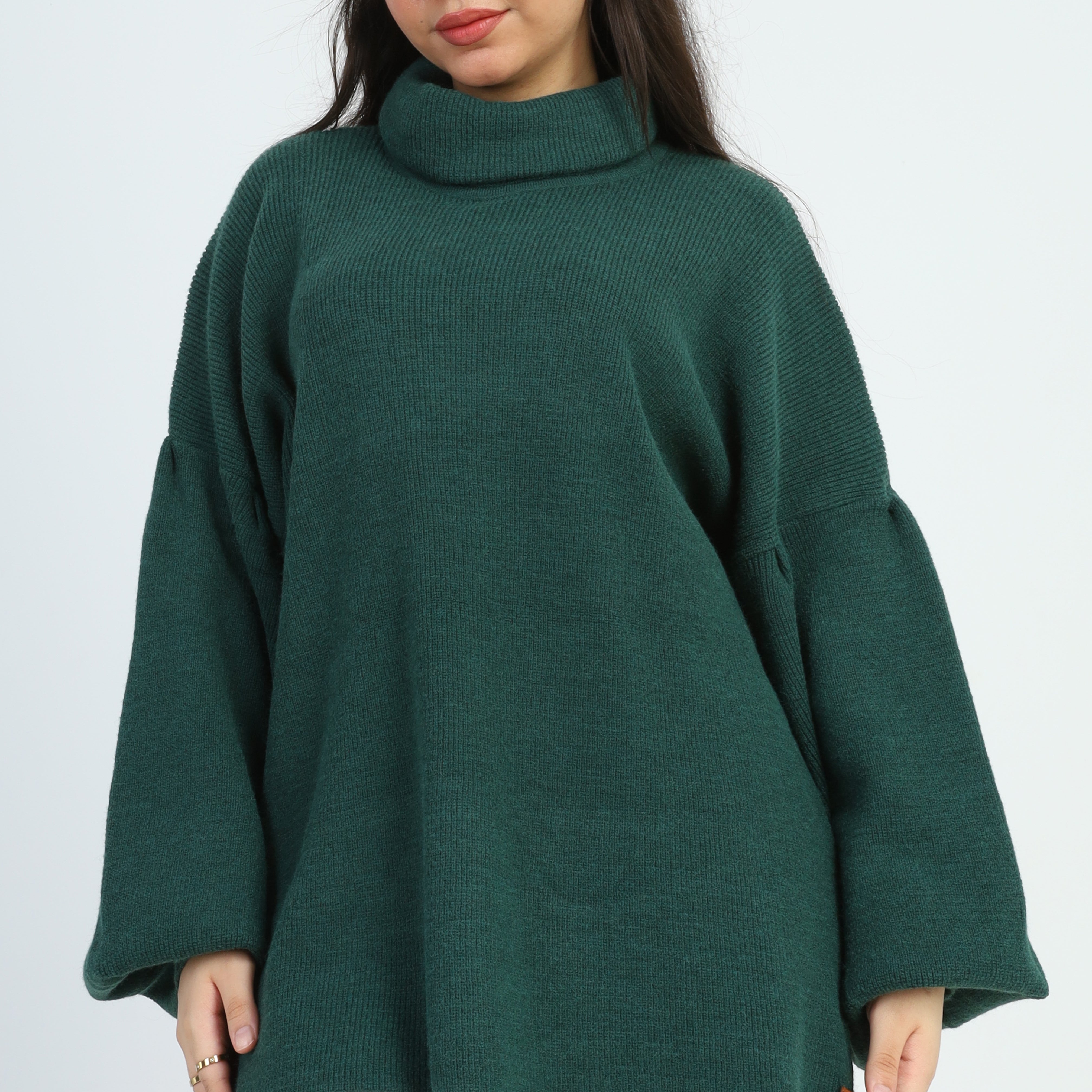Turtle Neck Oversized Pullover w16252674