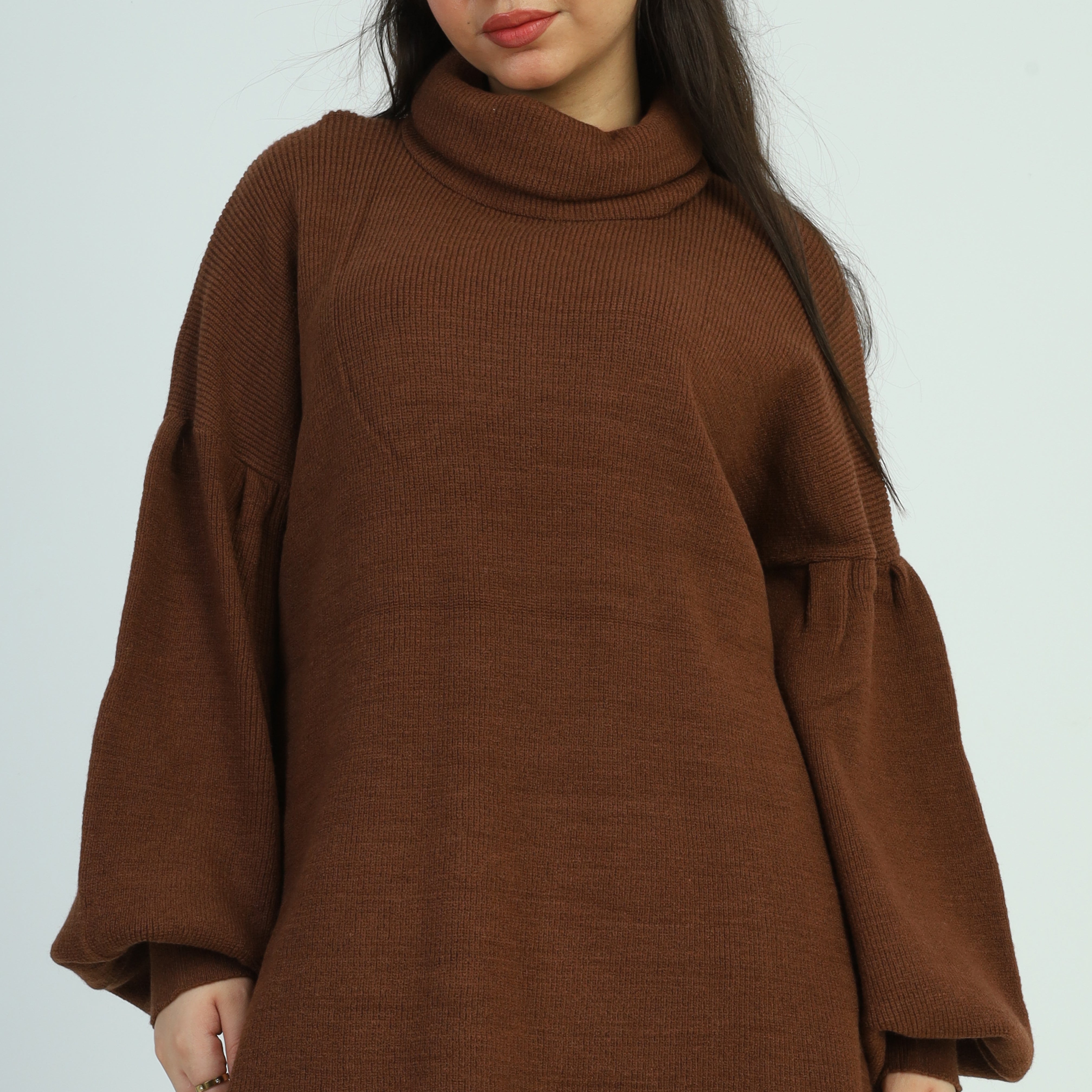 Turtle Neck Oversized Pullover w16252674