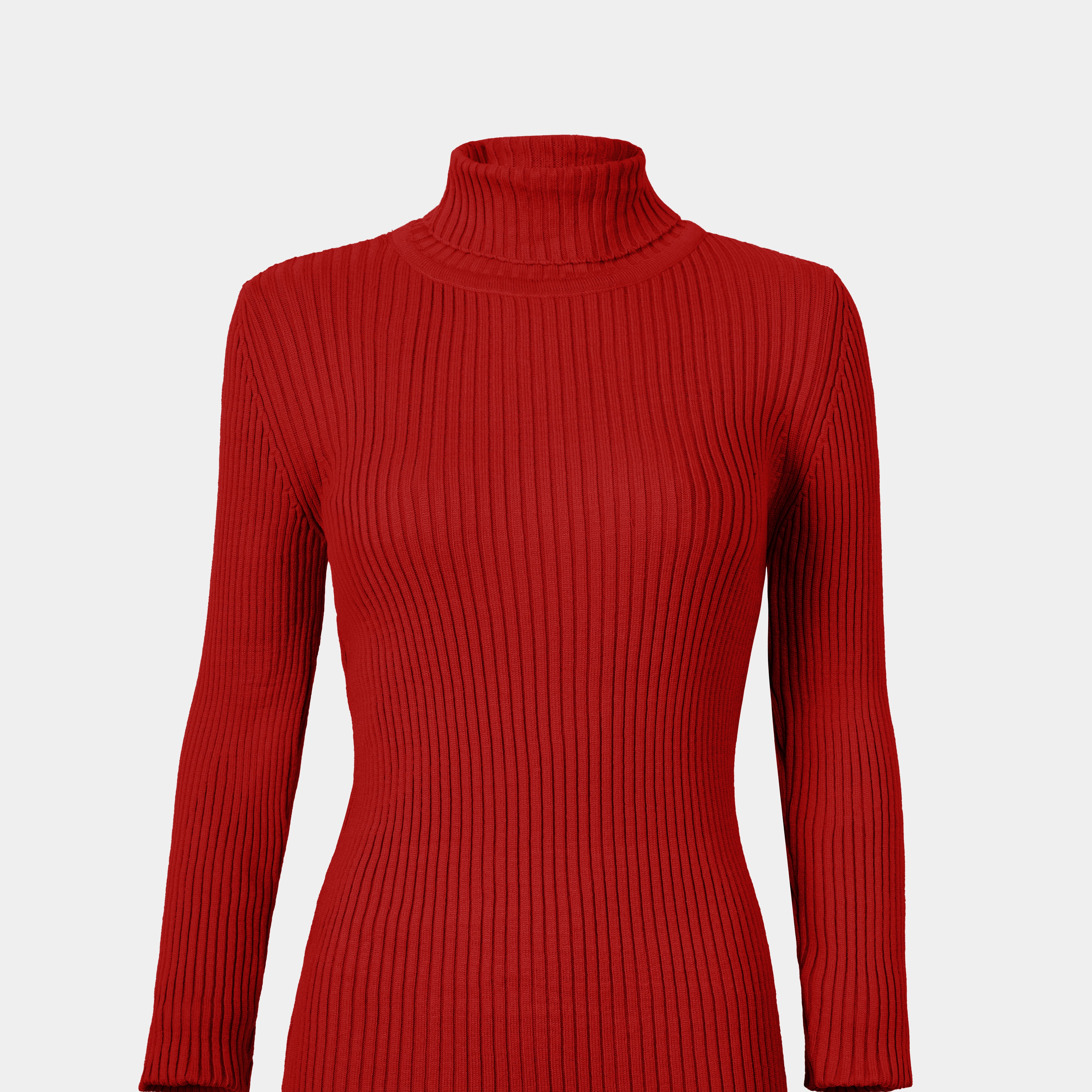 Ribbed Knit Turtleneck Basic Top w16321