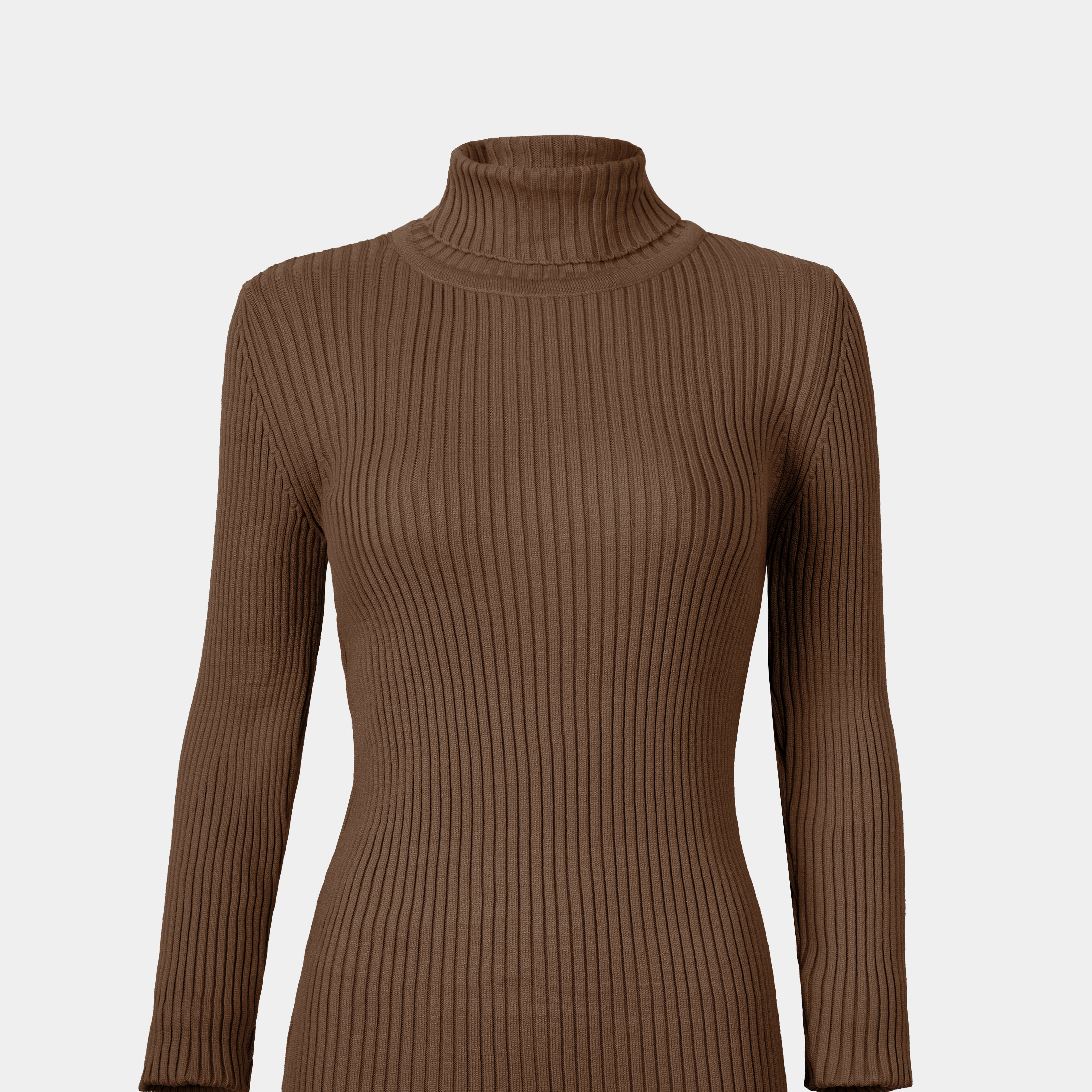 Ribbed Knit Turtleneck Basic Top w16321