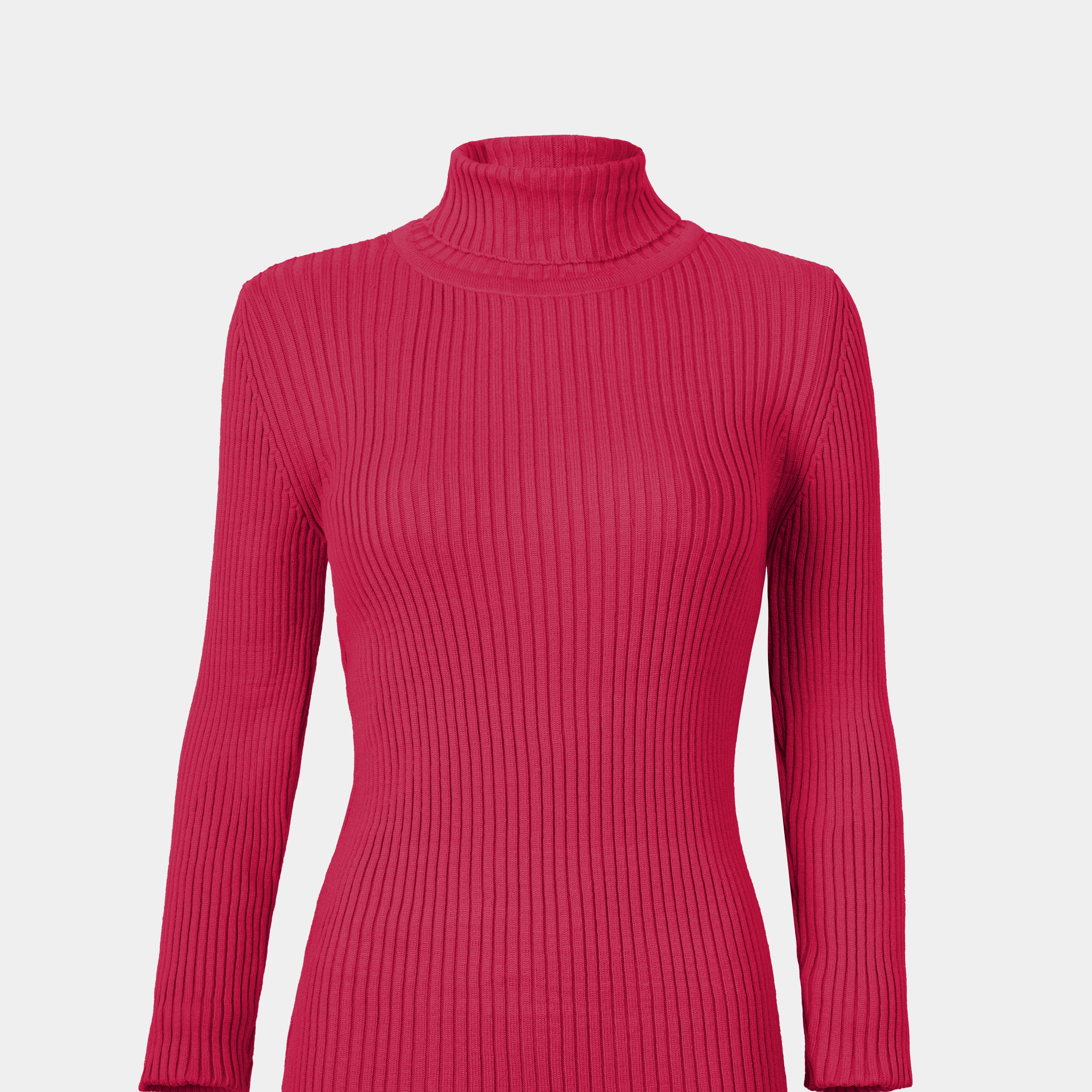 Ribbed Knit Turtleneck Basic Top w16321