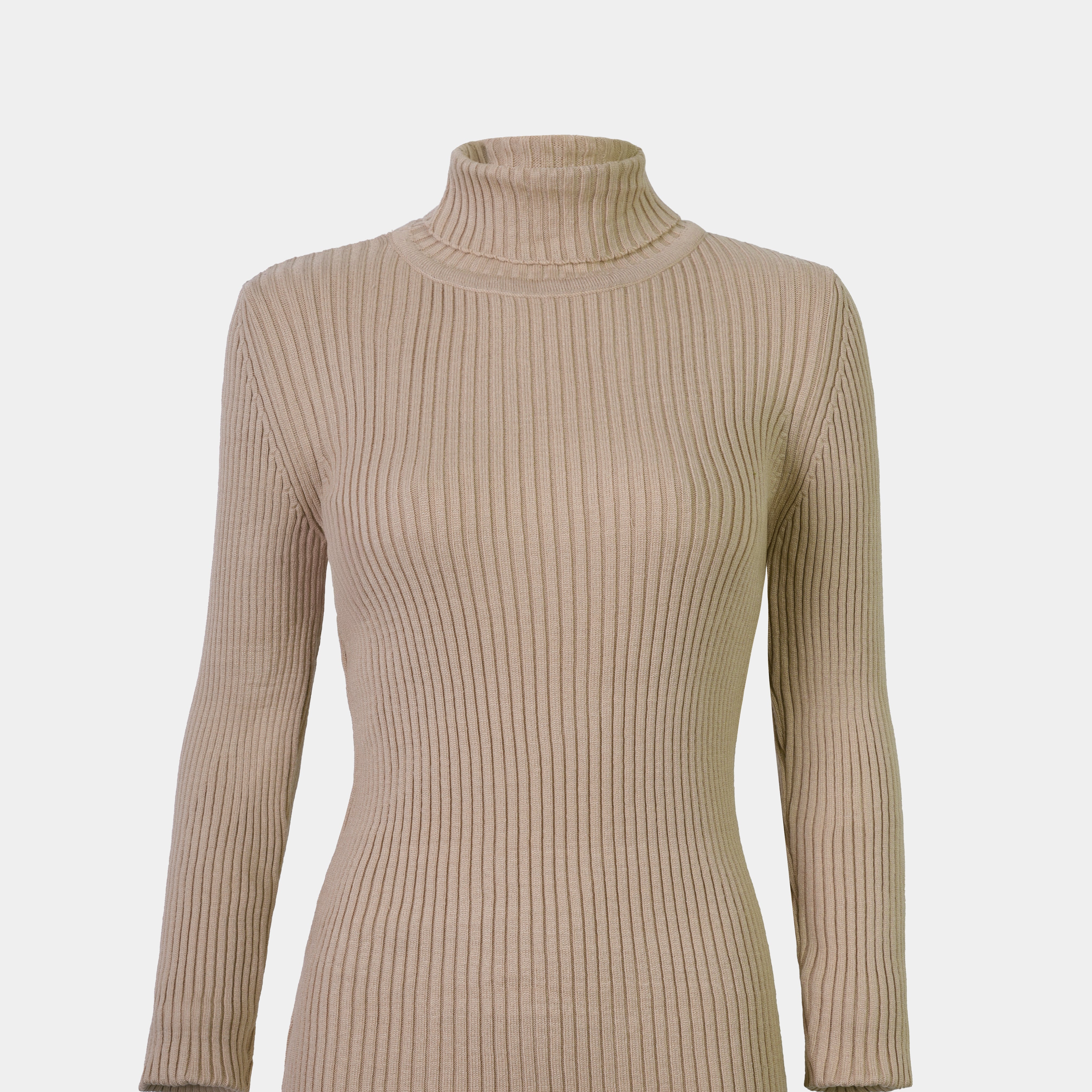 Ribbed Knit Turtleneck Basic Top w16321
