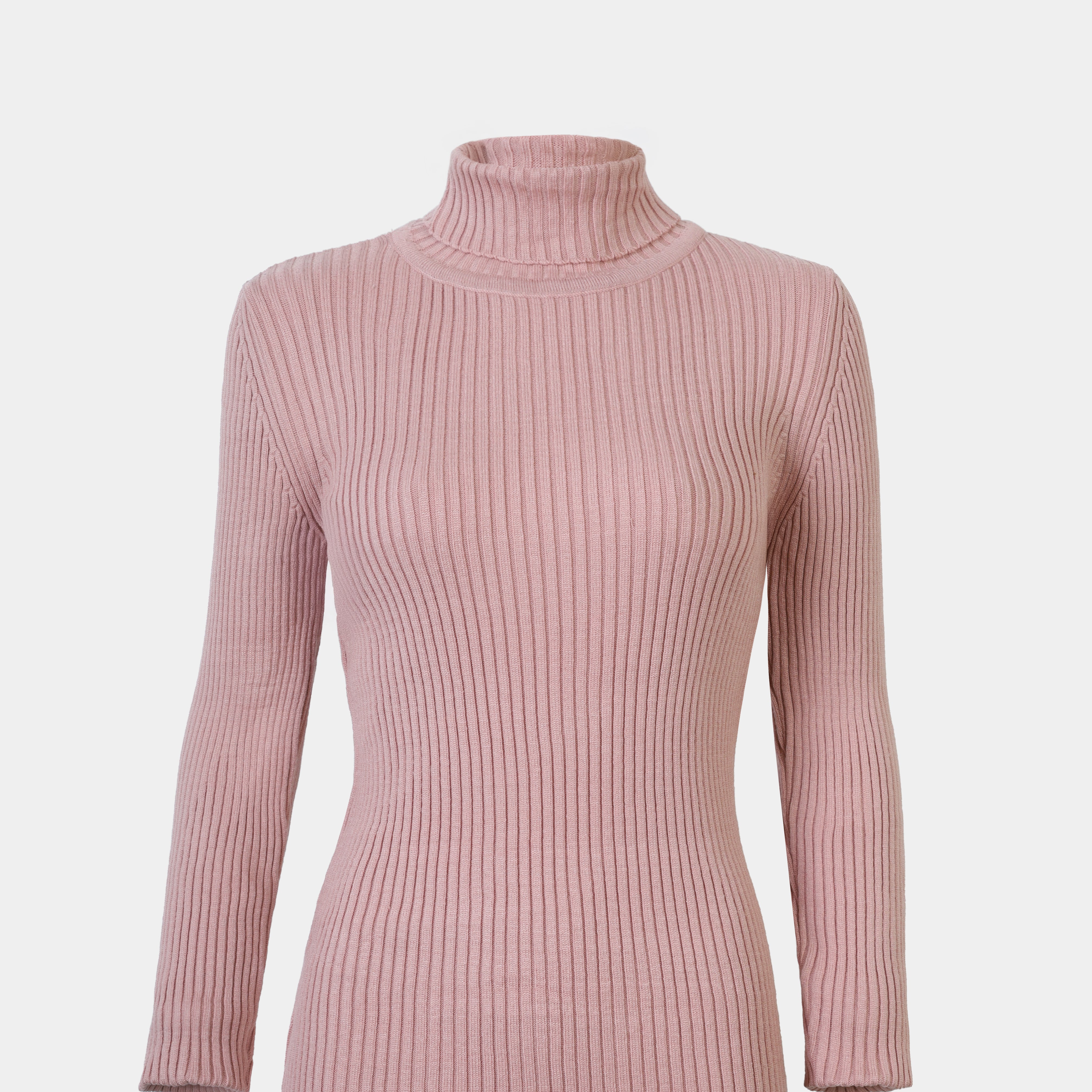 Ribbed Knit Turtleneck Basic Top w16321