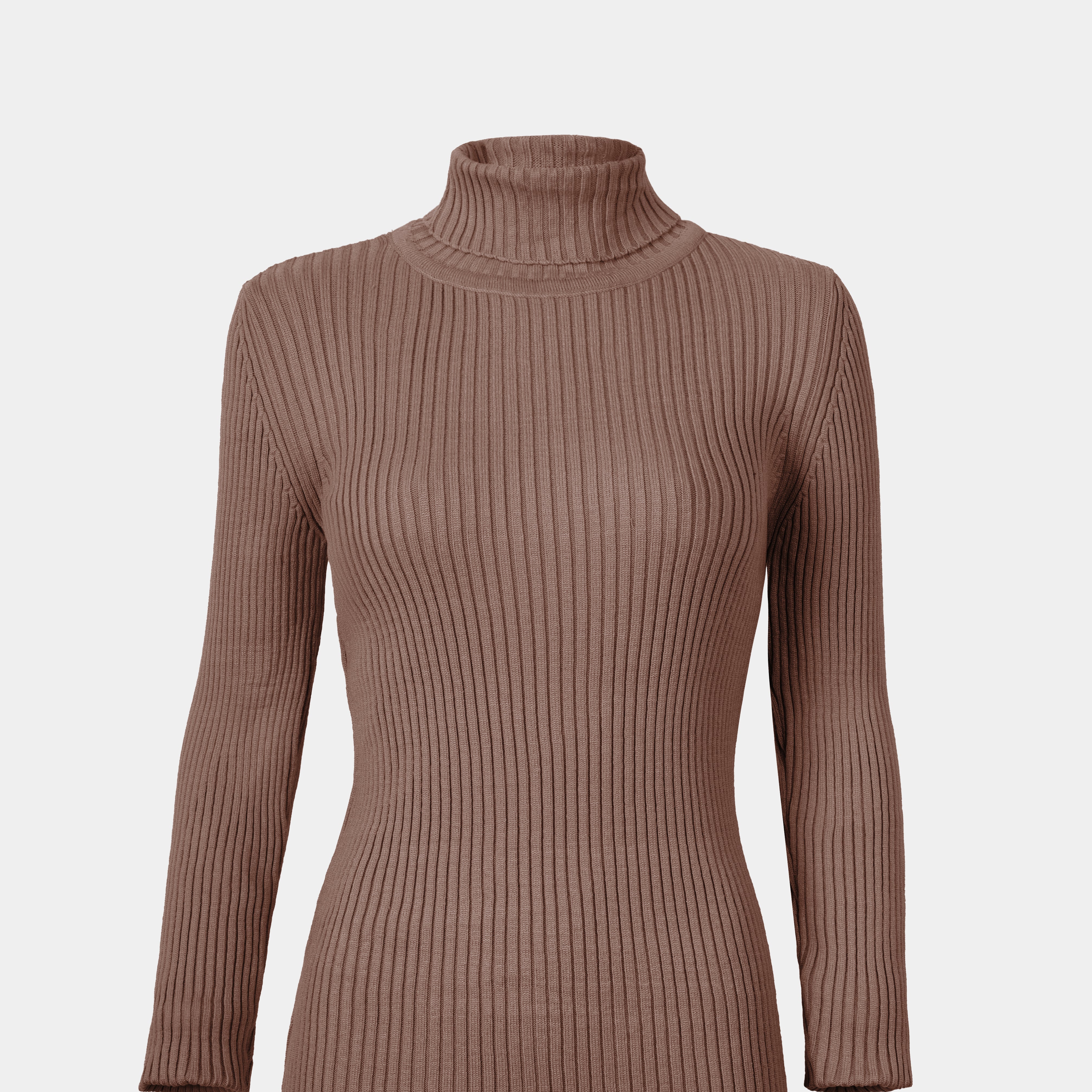 Ribbed Knit Turtleneck Basic Top w16321