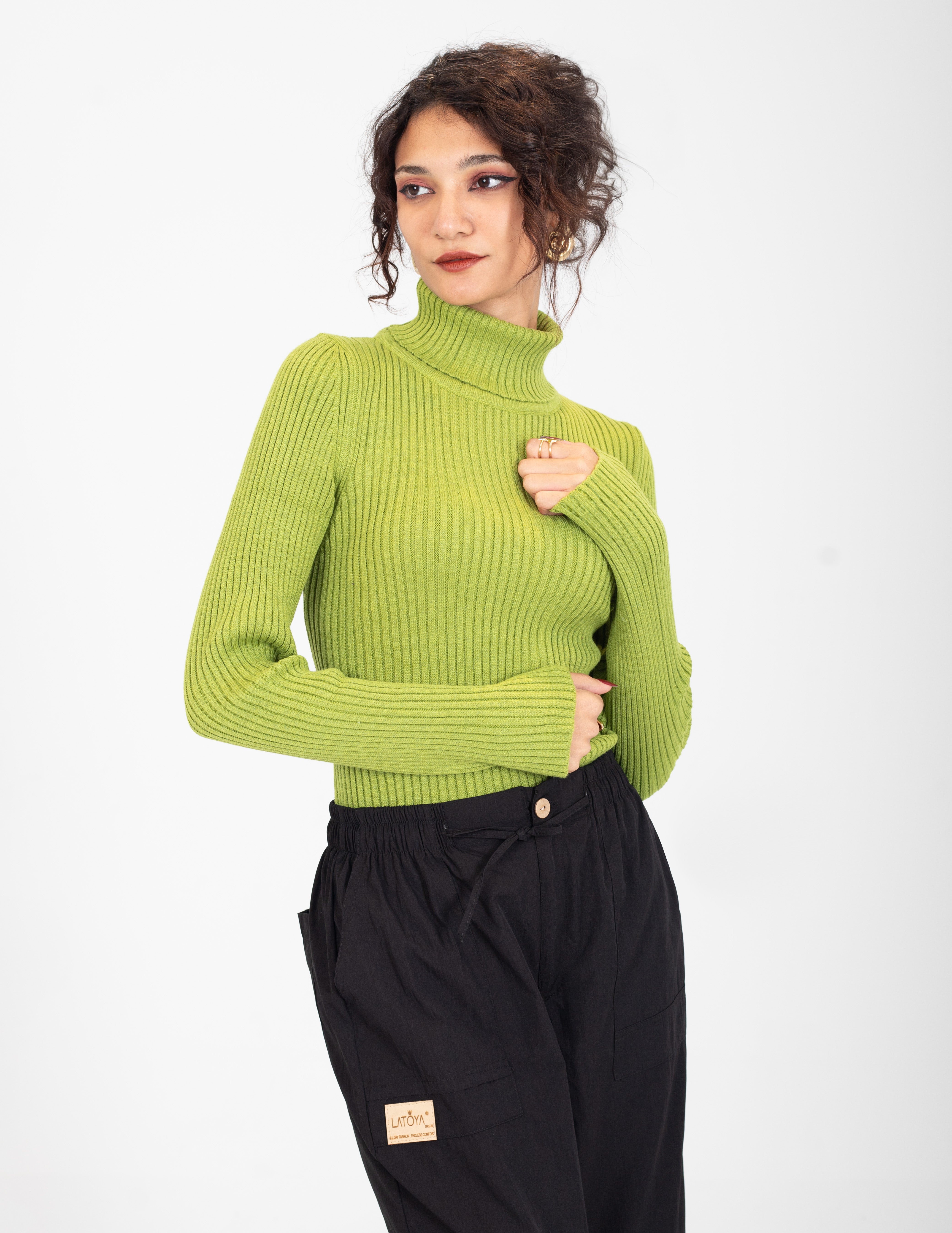 Ribbed Knit Turtleneck Basic Top w16321