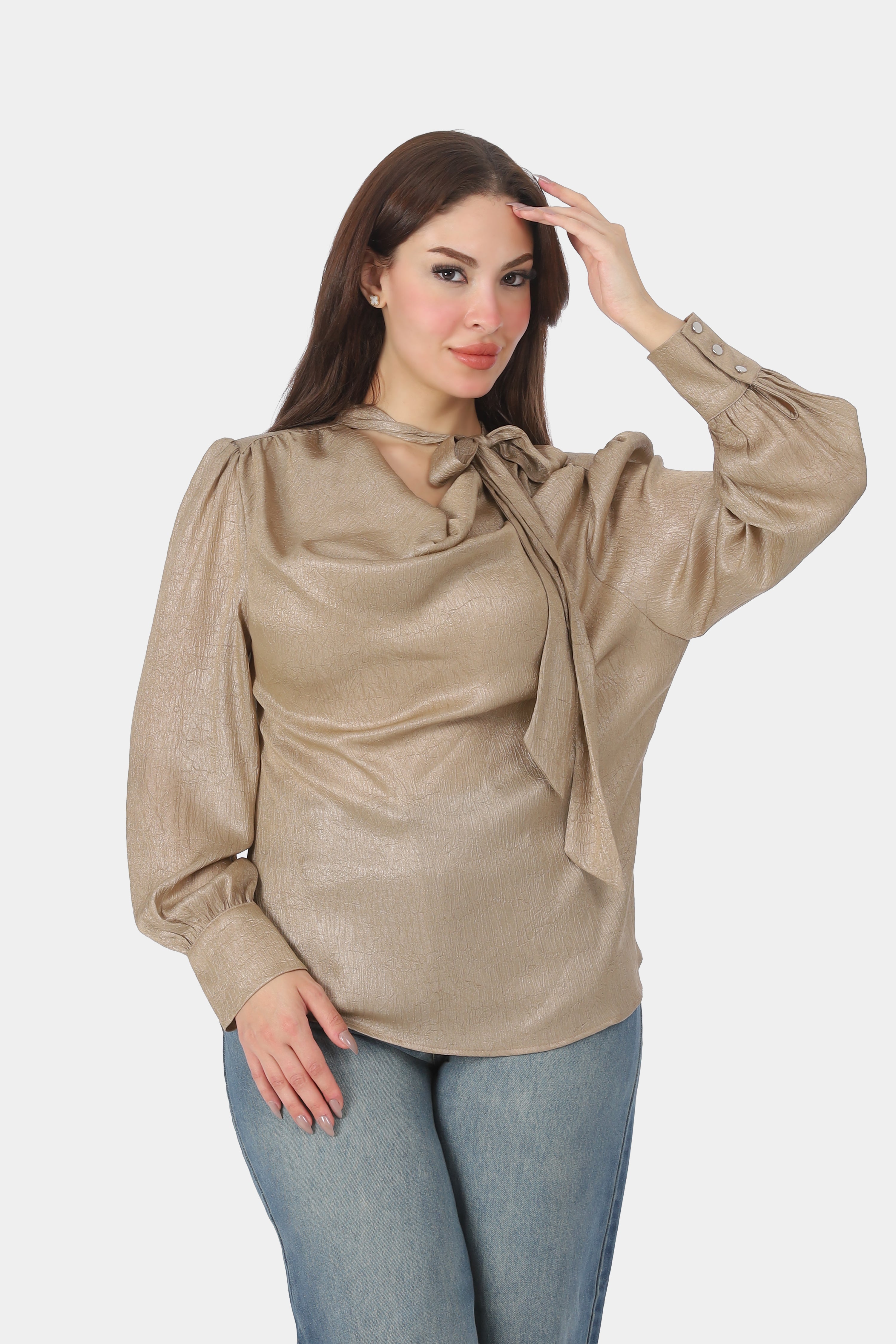 Elegant Tie-Neck Blouse 20721078