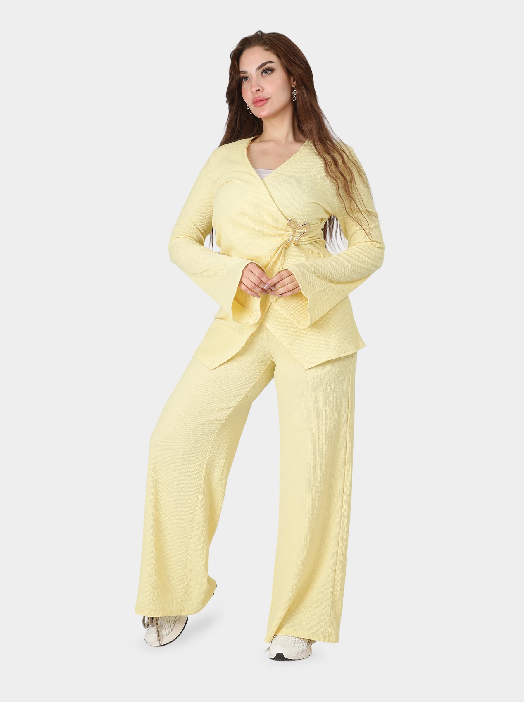 V-Neck Blouse & Wide Leg Pants Two-Piece Set 2073M928