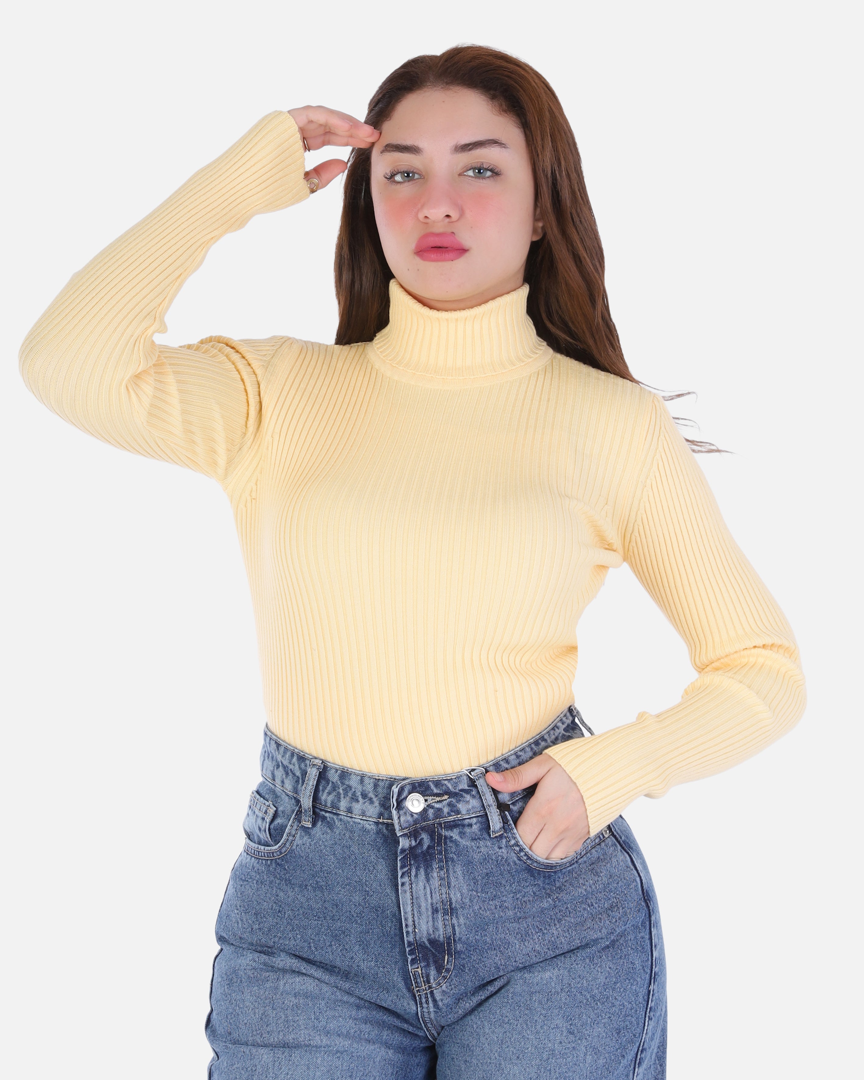 Basic Ribbed Knit Top 2136/091