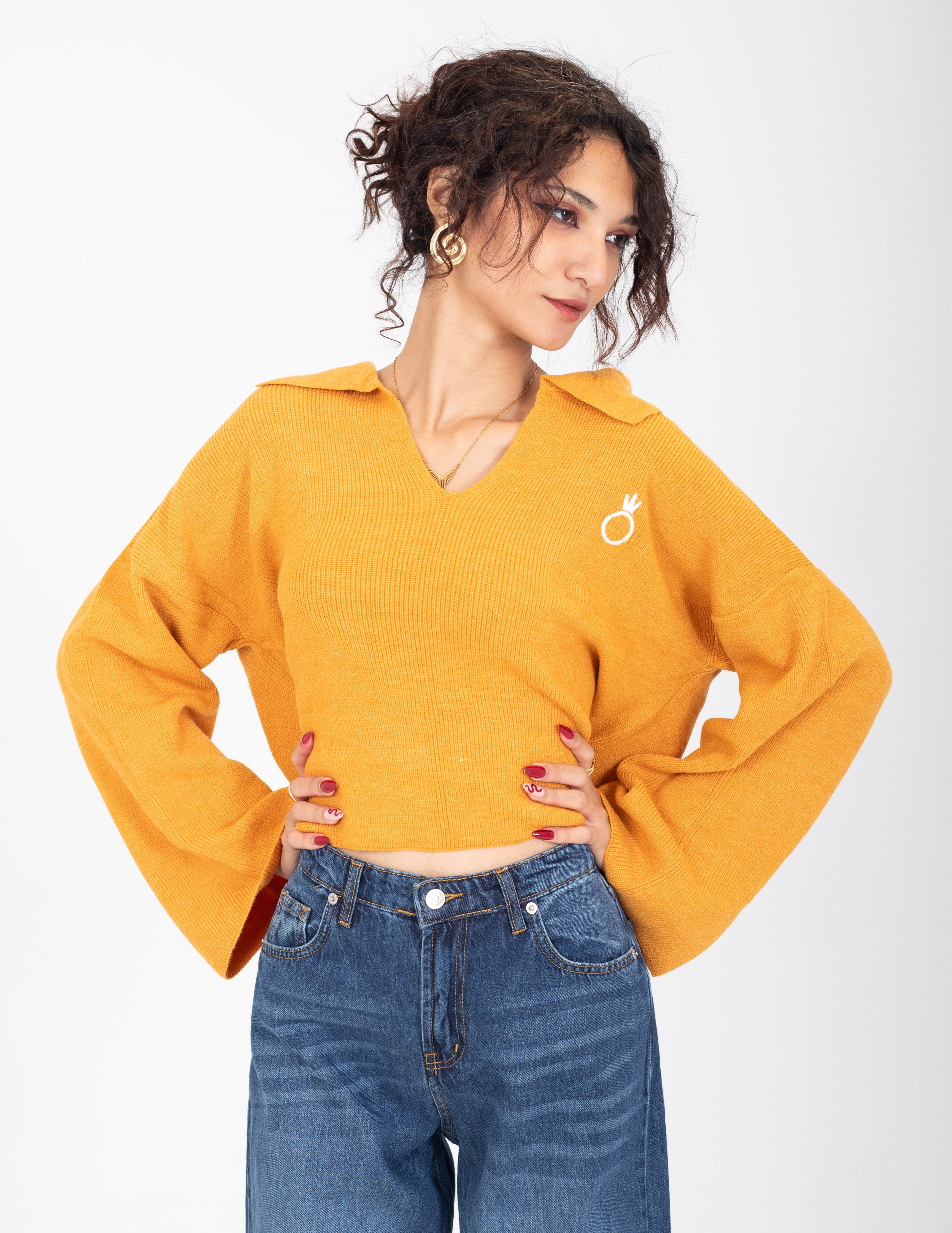 Collared V-Neck Cropped Knit Sweater w16252687/1