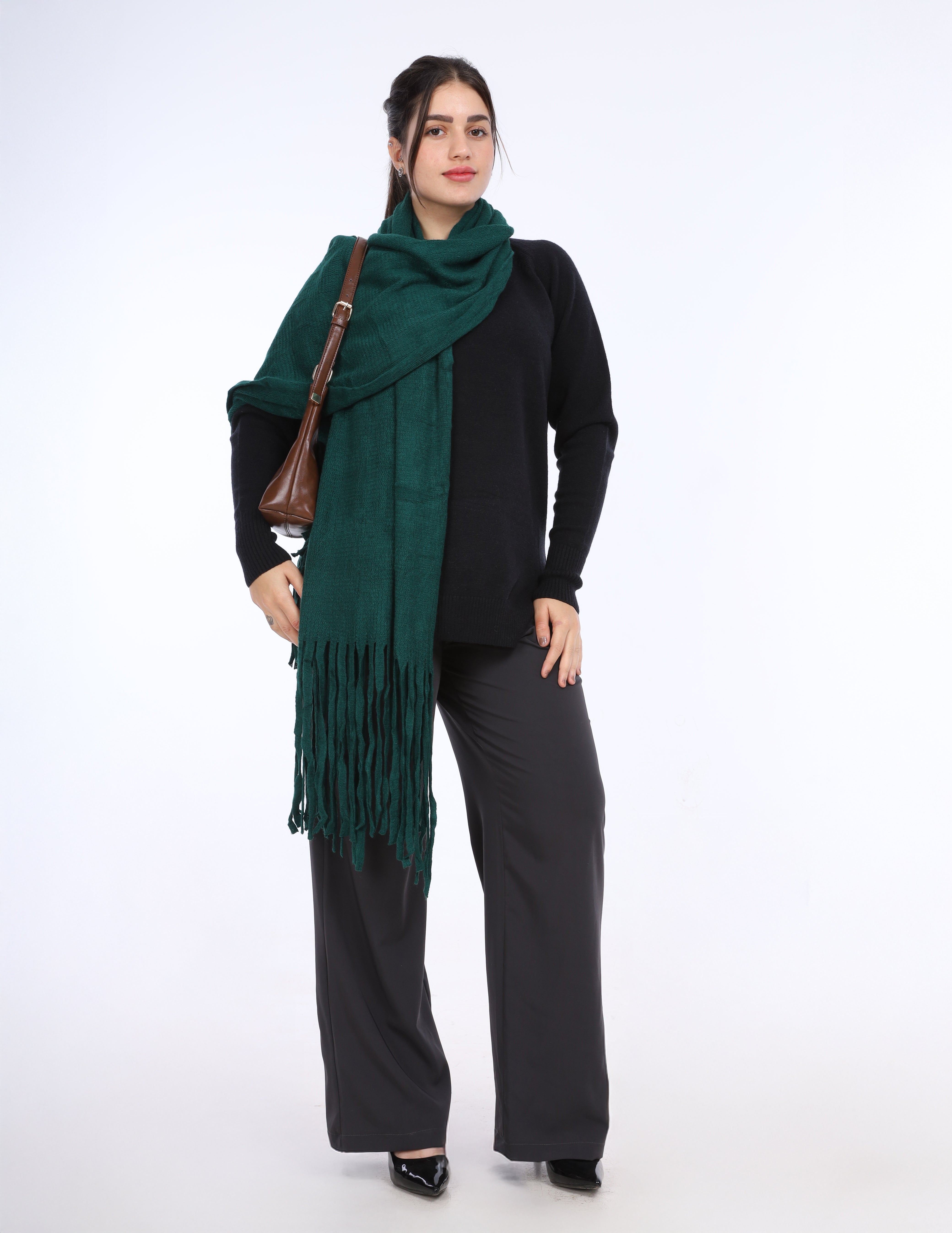 Cozy Winter Scarf w1675H5